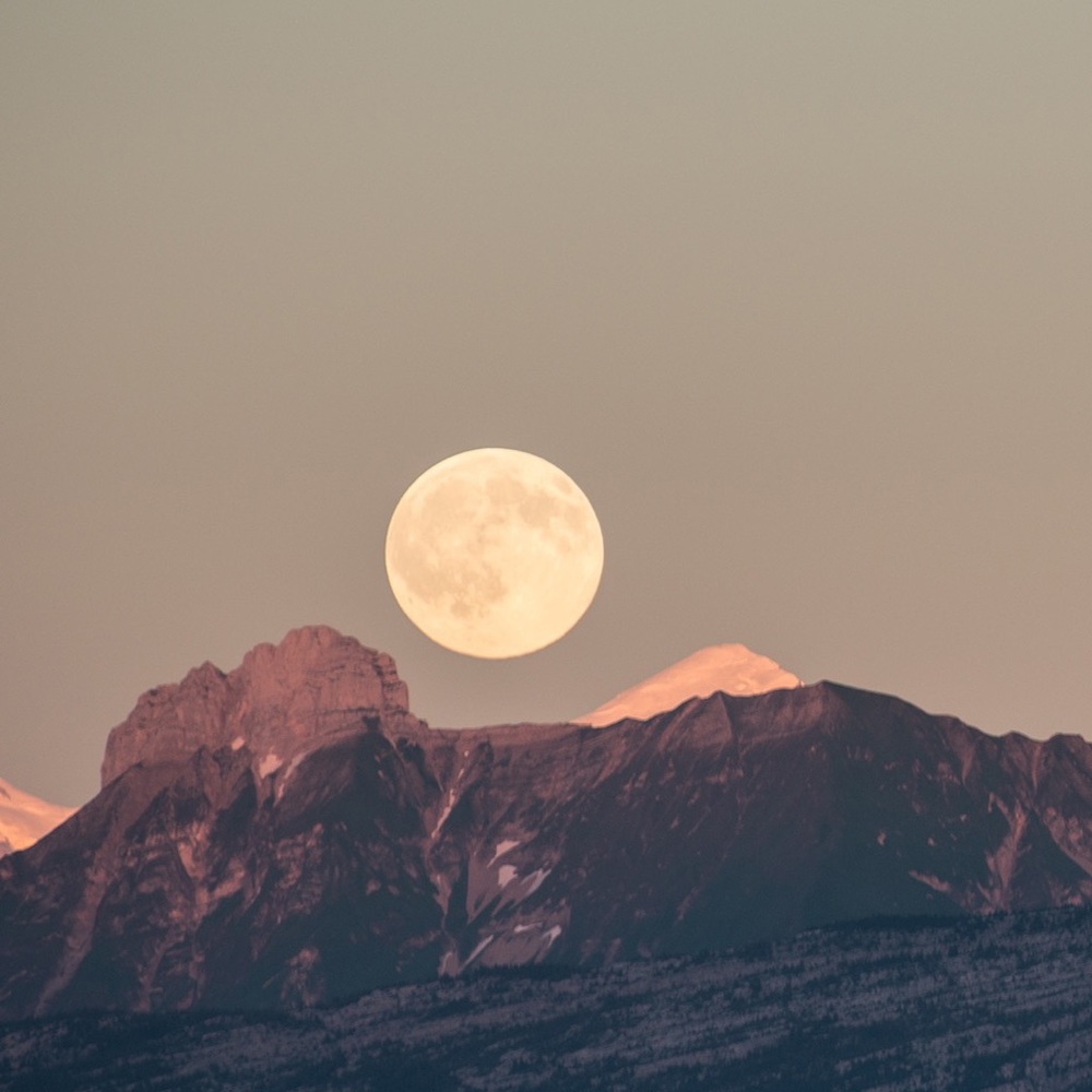 Meet your Posher, Nainaila